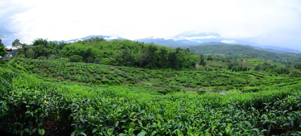 Sabah Tea Garden Villa Ranau Bagian luar foto