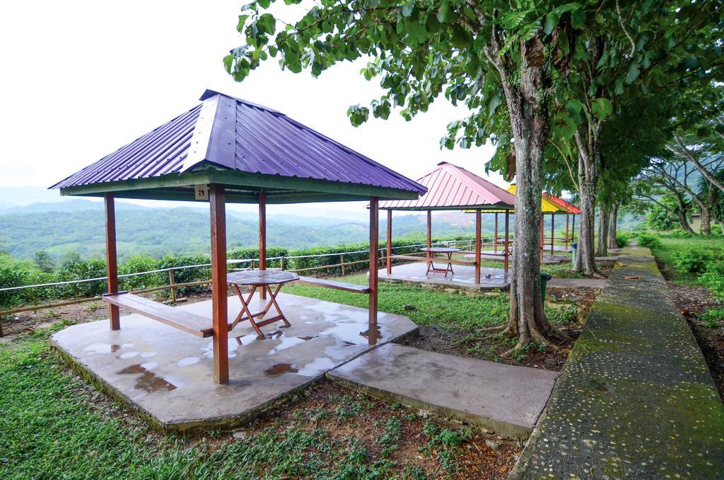 Sabah Tea Garden Villa Ranau Bagian luar foto