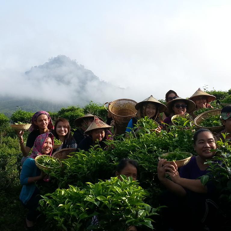 Sabah Tea Garden Villa Ranau Bagian luar foto