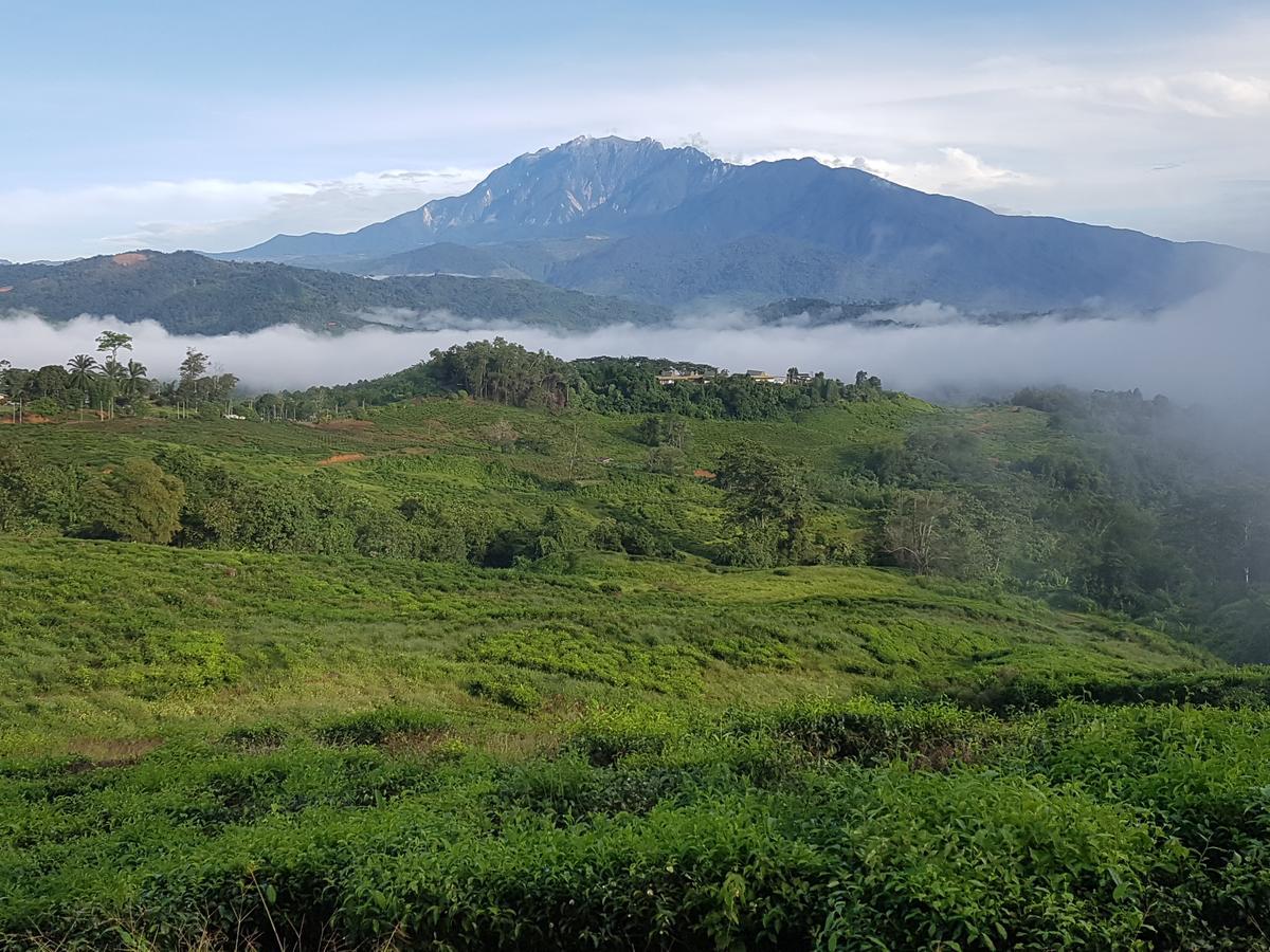 Sabah Tea Garden Villa Ranau Bagian luar foto