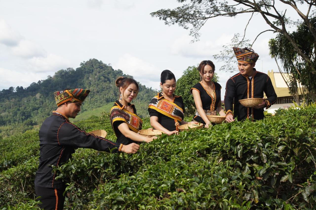 Sabah Tea Garden Villa Ranau Bagian luar foto