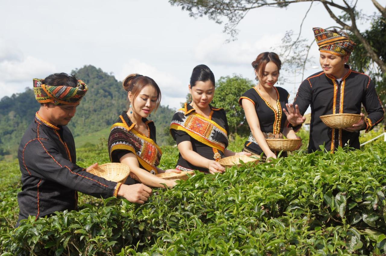 Sabah Tea Garden Villa Ranau Bagian luar foto